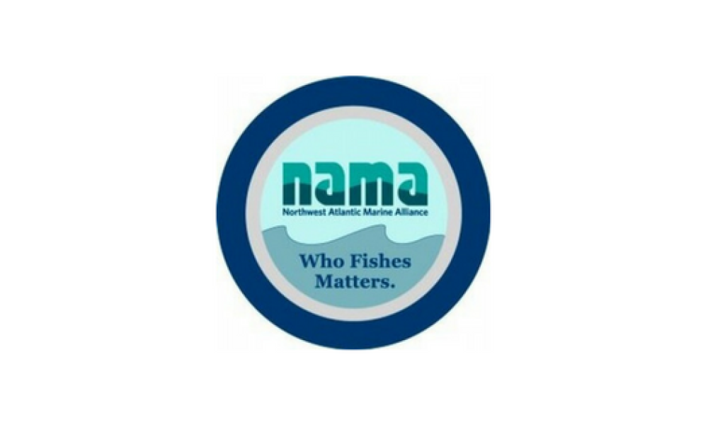 NAMA logo with green text inside of a blue circle