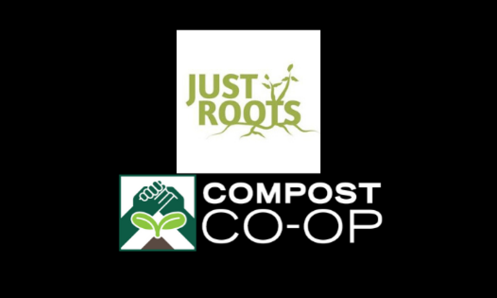 Just Roots logo with the name of the organization in green font with a white background